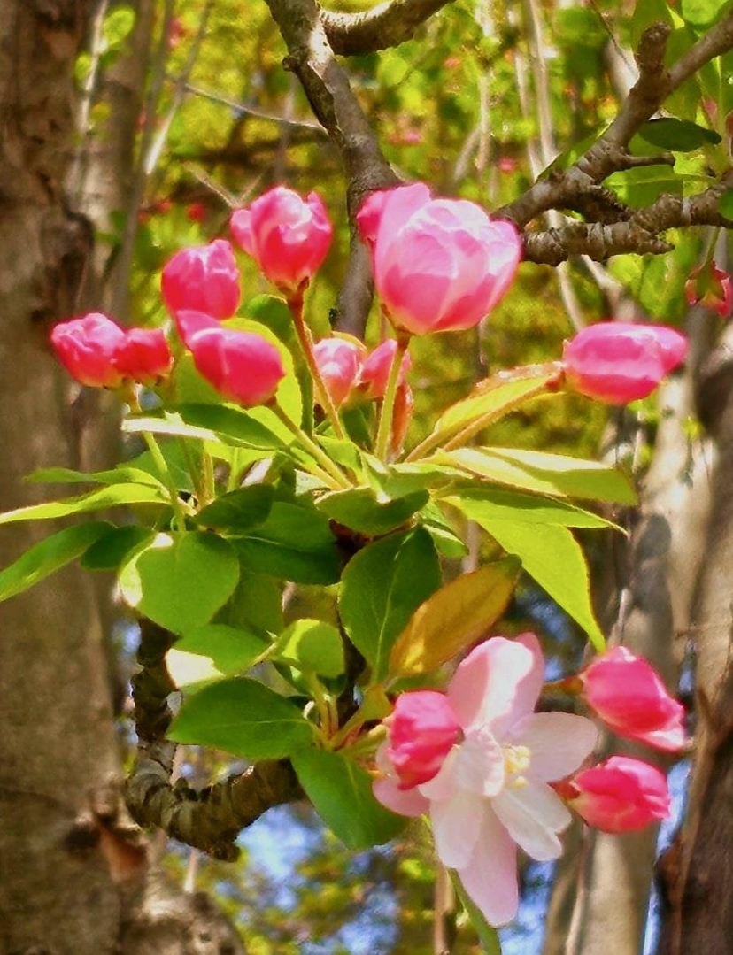 적벽/박명숙 [사진:강영임 기자]