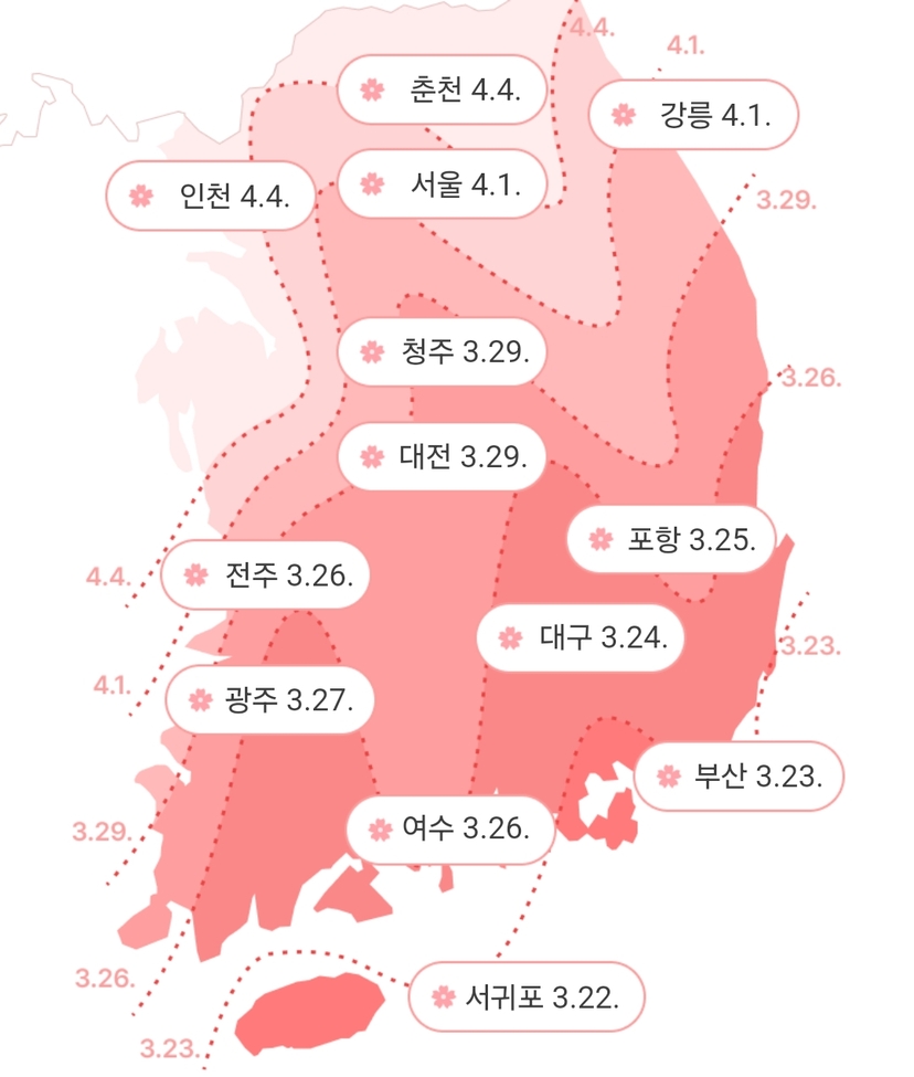 ▲ 2025년 전국 벚꽃 개화시기 기상청 제공