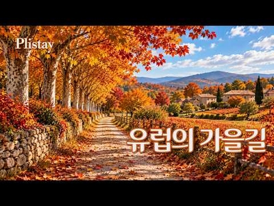 [도로시의 음악산책] 지친 일상 끝, 가을 감성으로 채우는 쉼표-  Relaxing 7080 Pop