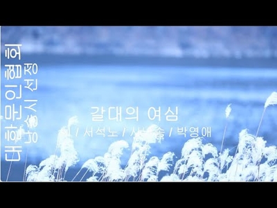 [KAN: 옴니버스 아트] 서석노 시인의 "갈대의 여심" 감성 시낭송
